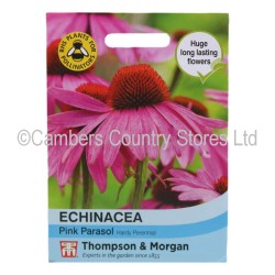 Thompson & Morgan Echinacea Pink Parasol